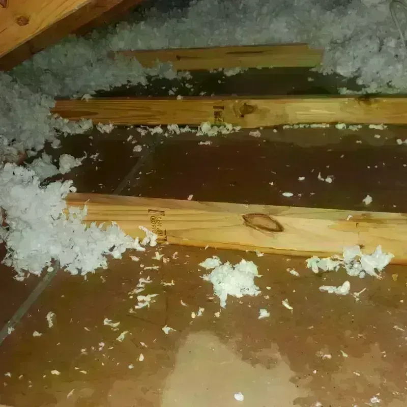 Attic Water Damage in Richmond, MA