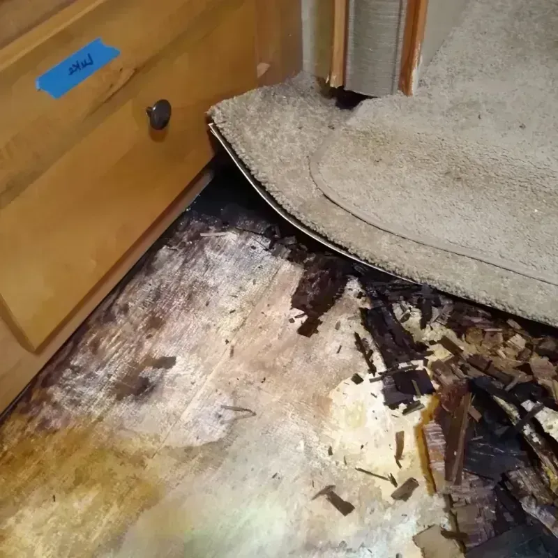 Wood Floor Water Damage in Richmond, MA